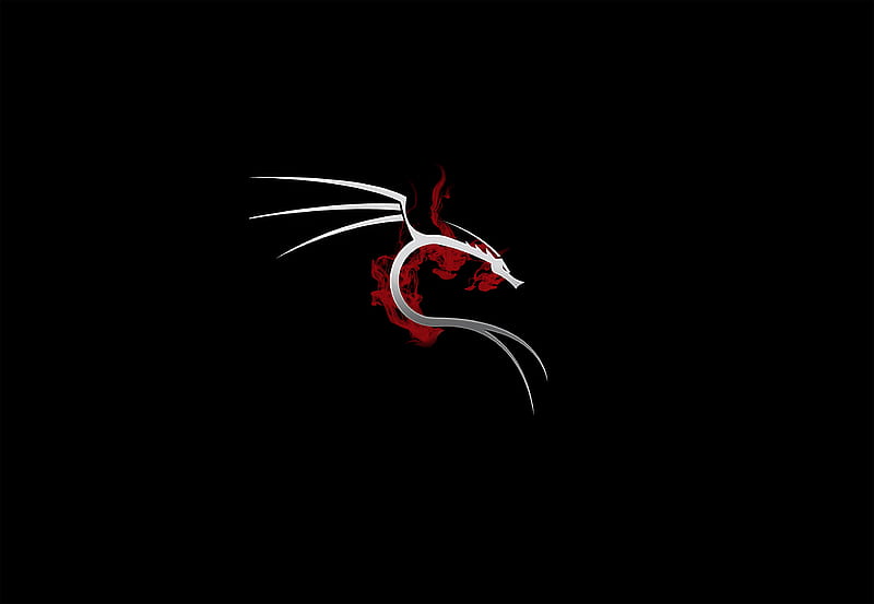 Kali Linux Beginner to Pro Tutorial